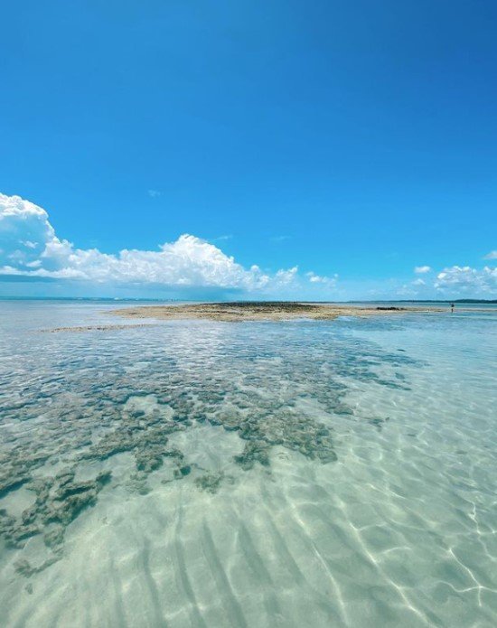 Praia do Patacho Alagoas quando ir.
