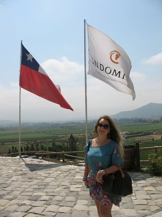 Vinícola Indomita Chile.