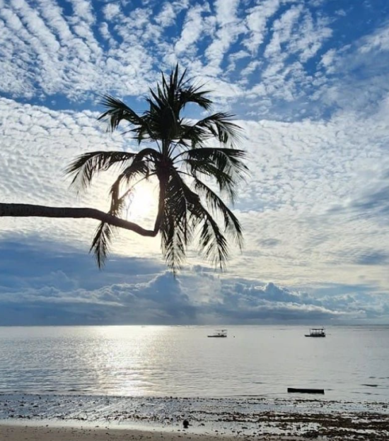 Praia do Patacho Alagoas.