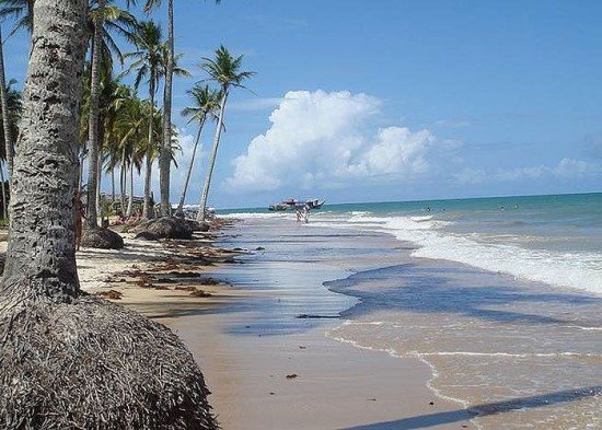 Praia dos Coqueiros Trancoso Bahia.