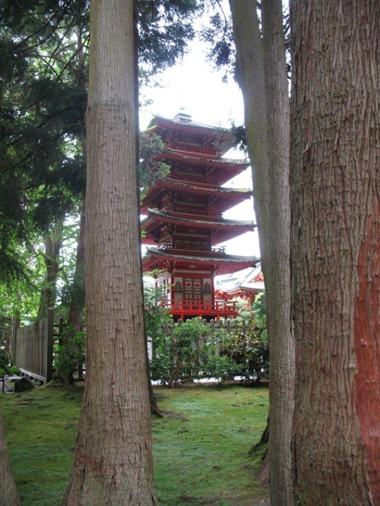 São Francisco Califórnia Pontos Turísticos: Jardim Japonês.