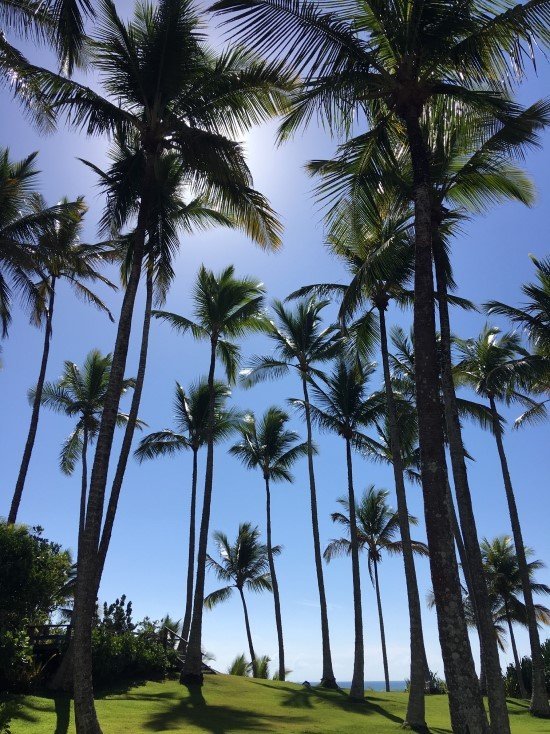 Dica de hotel no sul da Bahia.