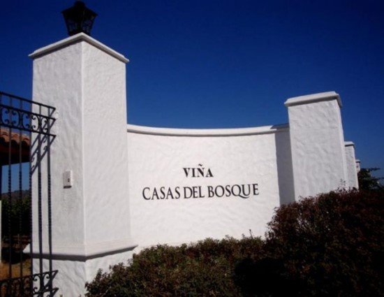 Casas del Bosque.