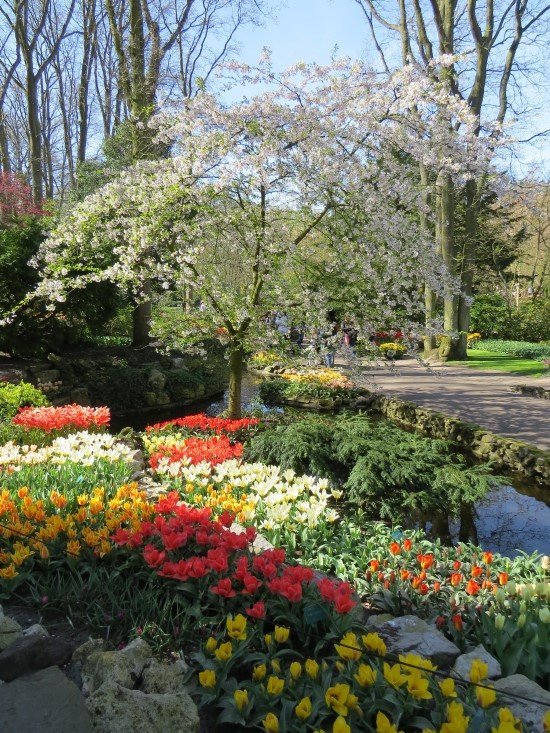 O que fazer em Keukenhof.