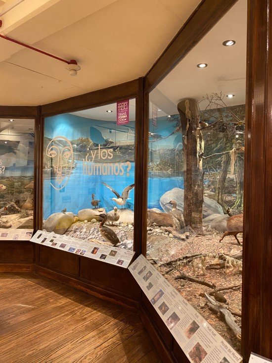 Bariloche com crianças Museu da Patagônia.