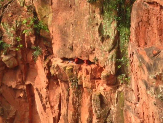 Buraco das Araras Bonito Mato Grosso do Sul.