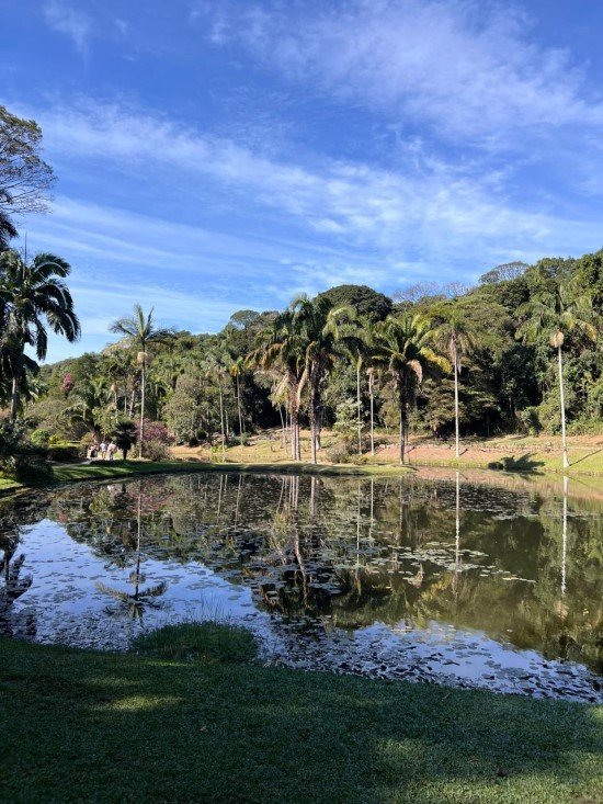 Jardim Botânico de São Paulo.
