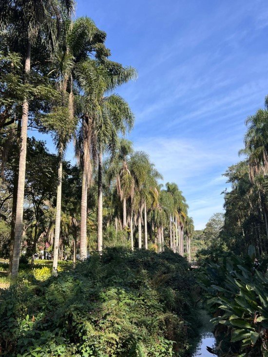 Jardim Botânico de São Paulo.