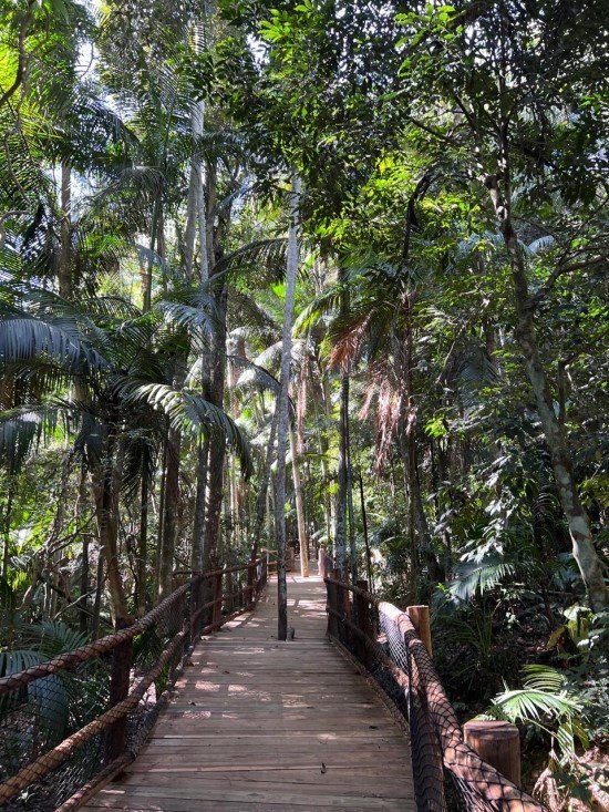 Trilha da Nascente Jardim Botânico de São Paulo.