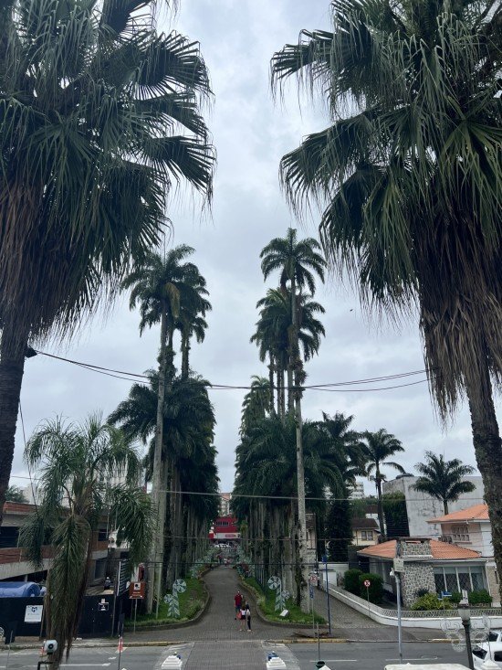 Joinville o que fazer.